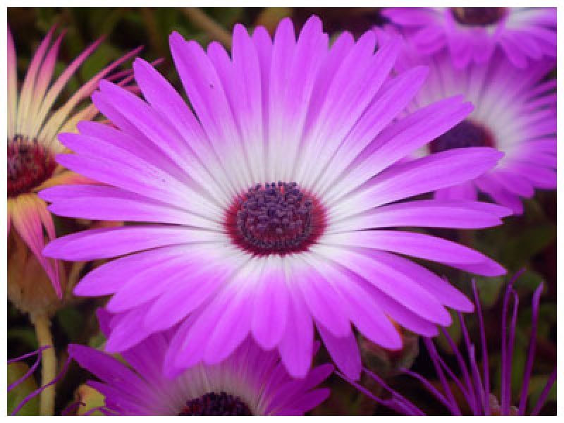 Мезембриантемум